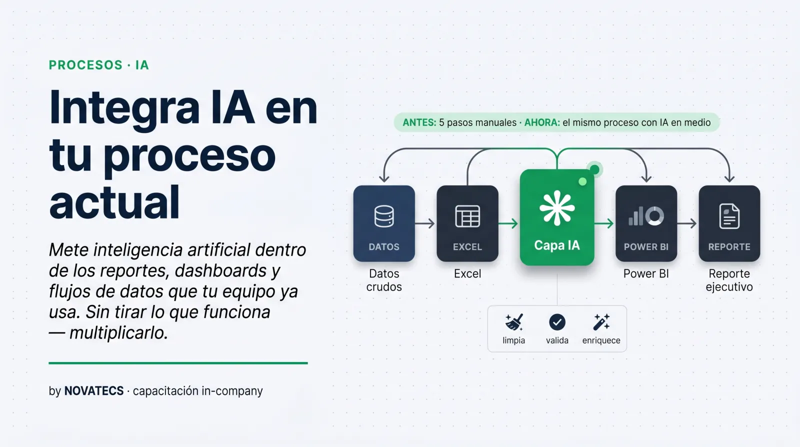 Maneja tus datos de forma inteligente con IA